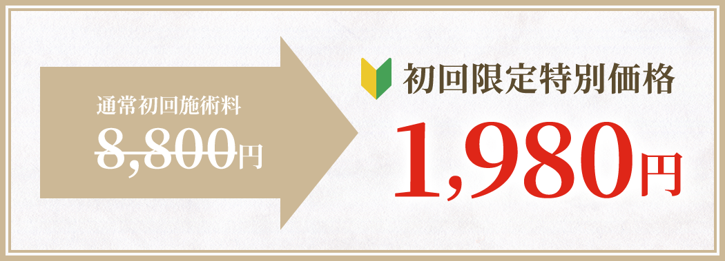 初回限定特別価格 1,980円